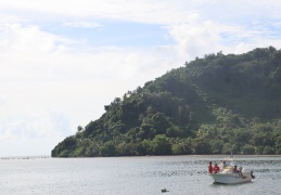 IMG 2713