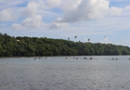 IMG 2772