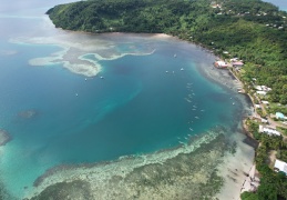 DJI 0153